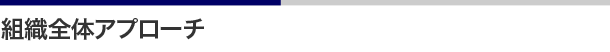 組織全体アプローチ