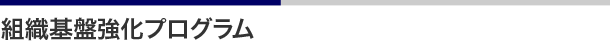 組織基盤強化プログラム